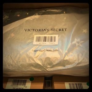 Victoria’s Secret Celestal shimmer bag